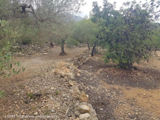 FINCA RÚSTICA DE 2,5 HECTÀREAS CON AGUA - TARRAGONA