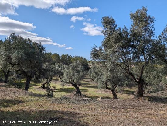 Se Vende en Arens de Lledo - TERUEL