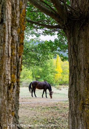 Balneario de Camarena de la Sierra en venta con 55.000 m2 de terreno - TERUEL