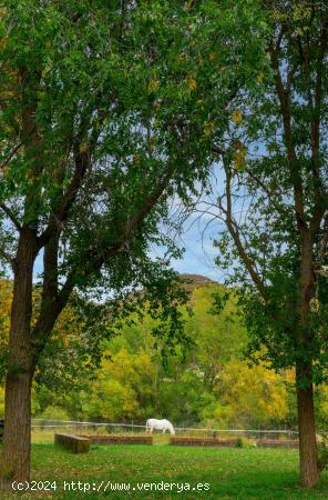 Balneario de Camarena de la Sierra en venta con 55.000 m2 de terreno - TERUEL