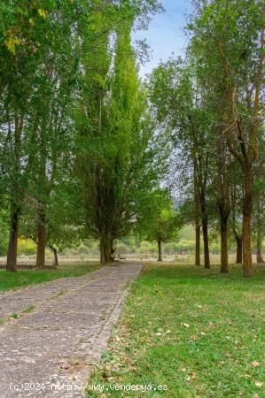 Balneario de Camarena de la Sierra en venta con 55.000 m2 de terreno - TERUEL