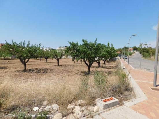 Amplia Parcela de 877 m² en Urbanización El Llano de Caravaca - MURCIA