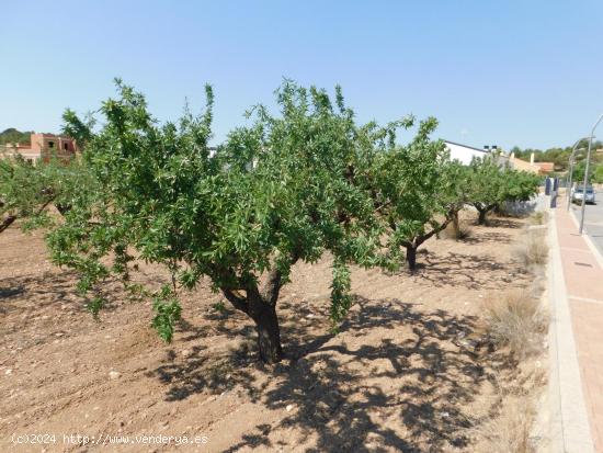 Amplia Parcela de 877 m² en Urbanización El Llano de Caravaca - MURCIA