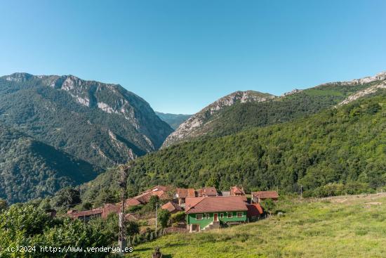 Oportunidad de Inversión: Casa para reformar en el Parque natural de las Ubiñas! - ASTURIAS