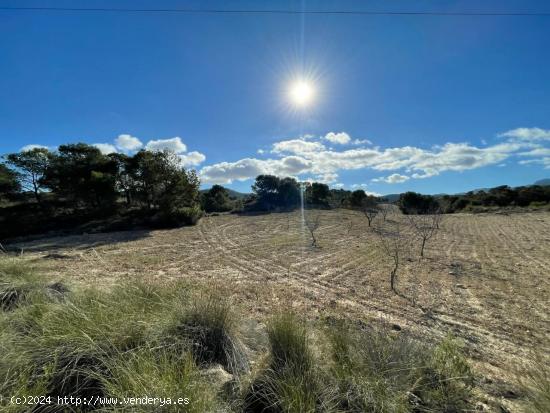 Se Vende en La Zarza - BADAJOZ