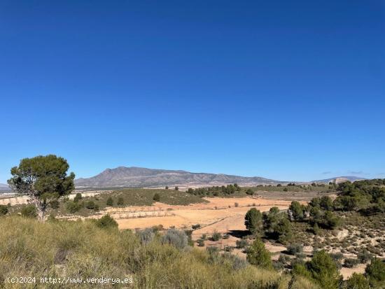 Se Vende en La Zarza - BADAJOZ