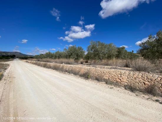 Se Vende en Pinoso - ALICANTE