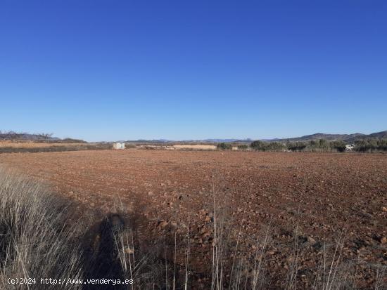 Se Vende en Pinoso - ALICANTE