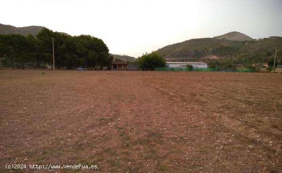 Se Vende en Aspe - ALICANTE