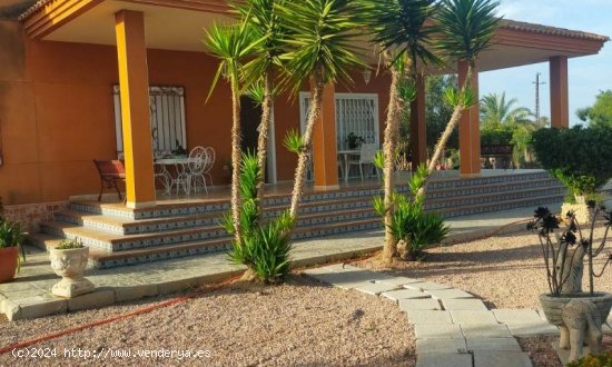 Villa en venta en Elche (Alicante)