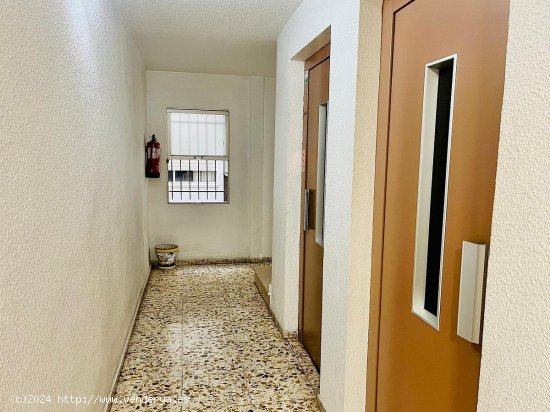 Apartamento en venta en Elche (Alicante)