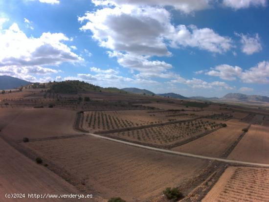 Se Vende en Pinoso - ALICANTE