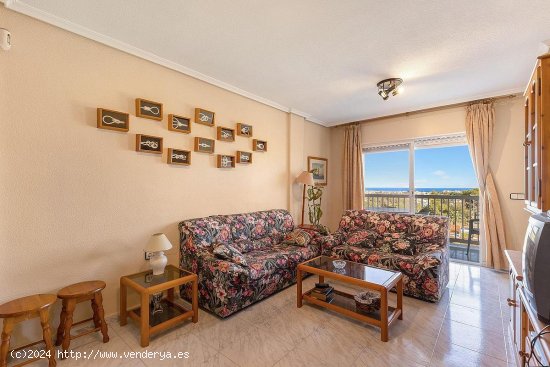 Apartamento en venta en Torrevieja (Alicante)