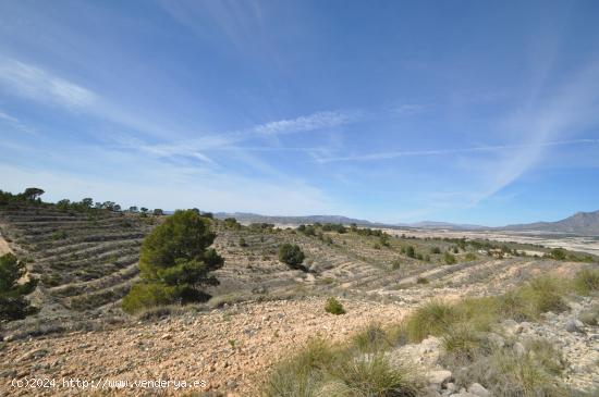 Se Vende en Jumilla - MURCIA