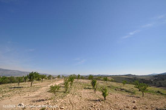 Se Vende en Jumilla - MURCIA