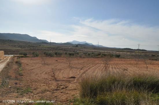 Se Vende en Jumilla - MURCIA