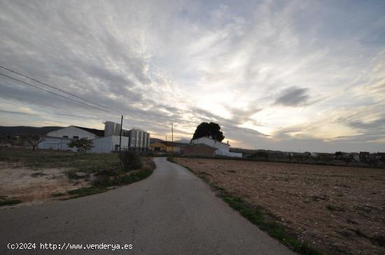 Se Vende en Jumilla - MURCIA