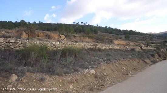 Se Vende en Pinoso - ALICANTE