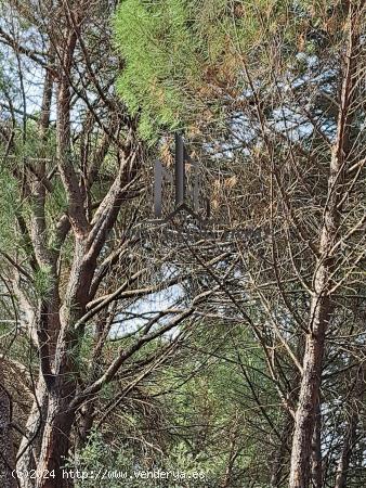 PARCELA EN PINARES DEL JUCAR - ALBACETE