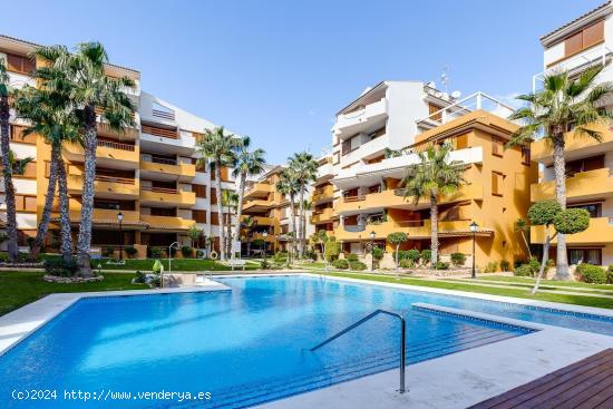 PISO DE 3 DORMITORIOS 2 BAÑOS EN PUNTA PRIMA ( LA RECOLETA ) ORIHUELA COSTA - ALICANTE