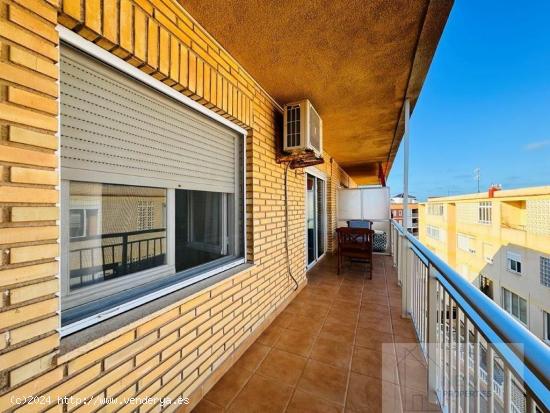 Se Vende en Torrevieja - ALICANTE