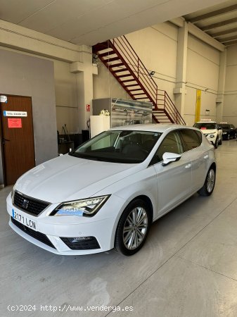 Seat Leon XCELLENCE EDITION 2.0 TDI 150 CV 2019 - Churriana de la Vega