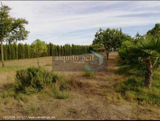 SE VENDE PARCELA RUSTICA EN CASICA OREA EN CARRETERA DE JAEN KM 5 / 2800 METROS/ PEQUEÑA CASA/ 8000