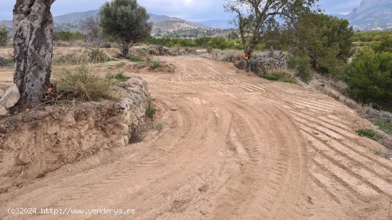 Terreno de 8000m2 con agua de riego, cerca de Villajoyosa.