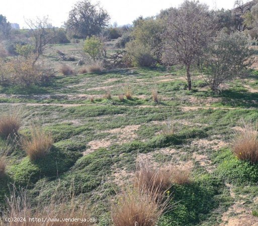 Terreno de 8000m2 con agua de riego, cerca de Villajoyosa.