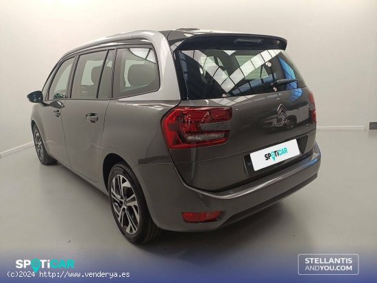 Citroën Grand C4 SpaceTourer  PureTech 96KW (130CV) S&S 6v C-Series - Sevilla