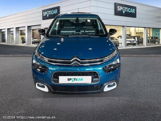 Citroën C4 Cactus  PureTech 110 S&S C-Series - Sevilla