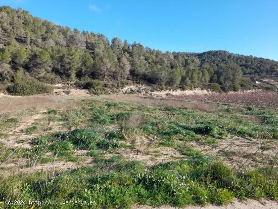 OPORTUNIDD FINCA RUSTICA DE REGA IO EN CORBERA D´EBRE CON VARIAS CONSTRUCCIONES - TARRAGONA