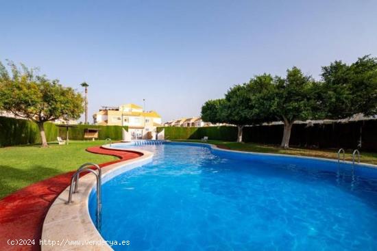  ALTOS LIMONAR TORREVIEJA 2 HABS JARDIN ENTRADA PARA COCHE,SOLARIUM PRIVADO 139.000 EUROS! - ALICANTE 