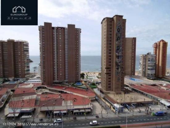 Exclusivo apartamento en Av Mediterraneo, Benidorm.www.euroloix.com - ALICANTE