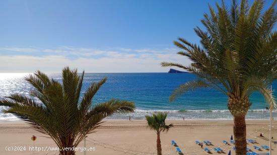 Amplio dúplex con vistas espectaculares en 1 Linea playa Levante. - ALICANTE