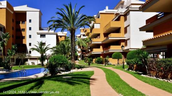 GRAN REBAJO OFERTA! Apartamento en la exclusiva urbanización La Entrada (Punta Prima) - ALICANTE