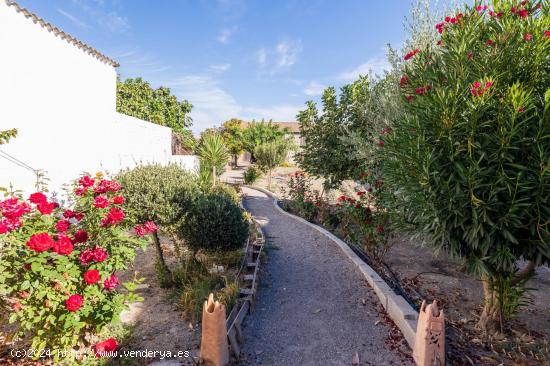 Magnífica casa en Fuente Vaqueros con gran parcela. - GRANADA