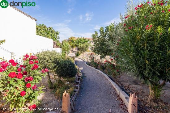 Magnífica casa en Fuente Vaqueros con gran parcela. - GRANADA