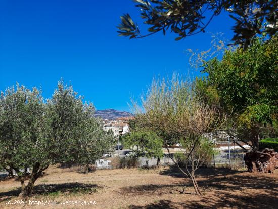 Terreno urbanizable de ensueño en la Zona dels Fruiters,  Castellar del Vallès. Oportunidad única