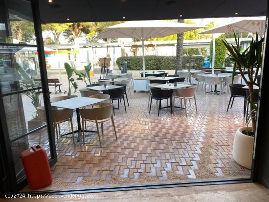 ¡Traspaso de Bar/Cafetería en Palmanova Frente al Mar! - BALEARES