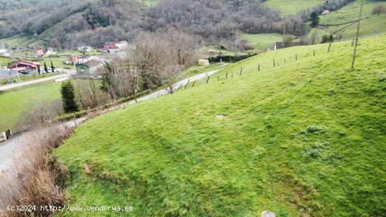 FINCA EDIFICABLE - ASTURIAS