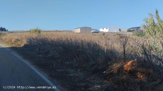 SE VENDE PARCELA SEGREGADA EN CALLEJON BORREGUITOS - CADIZ