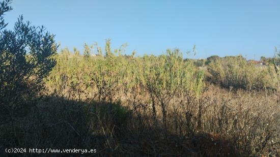 SE VENDE PARCELA SEGREGADA EN CALLEJON BORREGUITOS - CADIZ