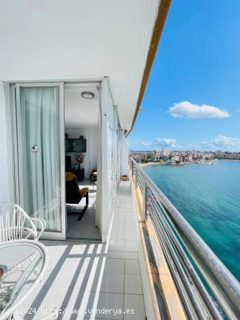 Vivienda de 1hab con estupendas vistas al mar. - ALICANTE