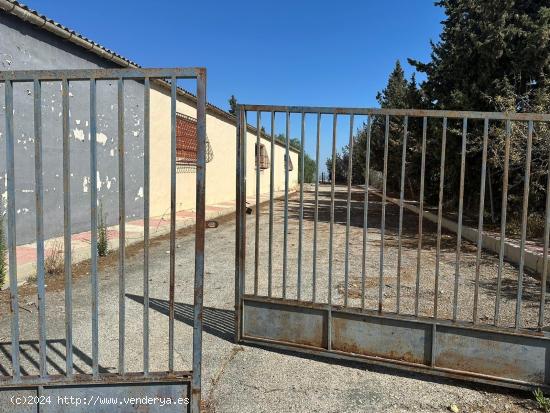 Parcela con dos naves industriales en Rojales, Alicante, Costa Blanca - ALICANTE