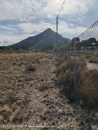 TERRENO RÚSTICO DE 40.000 M2 DE PARCELA EN CAMARA CON AGUA EN ELDA - ALICANTE