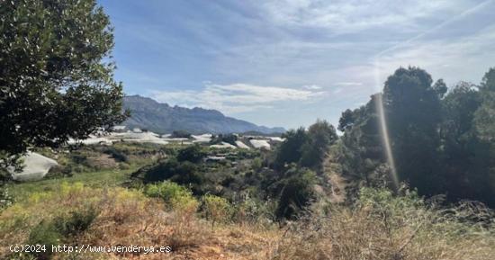  Finca rústica en SENTENILLA - ALICANTE 