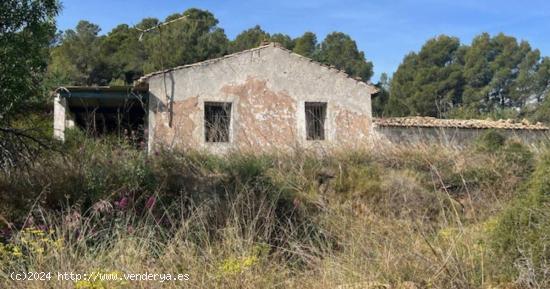 Finca rústica en SENTENILLA - ALICANTE