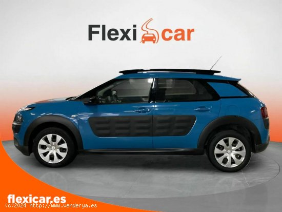 Citroën C4 Cactus PureTech 81KW (110CV) S&S Feel - Finestrat