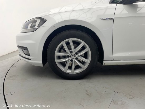 Volkswagen Golf 1.5 TSI 130 CV LAST EDITION - Igualada